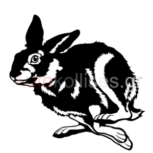 Αυτοκόλλητα κυνηγετικά Rabbit 01