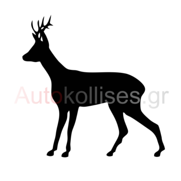 autokollita-gia-kynigetika-oximata-zarkadi-01
