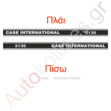 georgika-case-international-5130