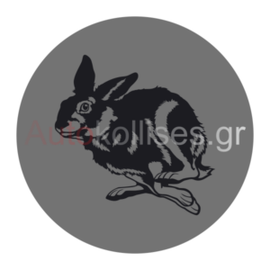 ΚΑΛΥΜΜΑ ΡΕΖΕΡΒΑΣ ΑΥΤΟΚΙΝΗΤΩΝ ΛΑΓΟΣ 02