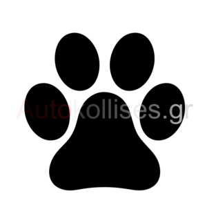 Αυτοκόλλητα οχημάτων ΠΑΤΗΜΑΣΙΑ 01