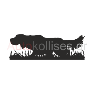aytokollito-aytokinito-setter-06
